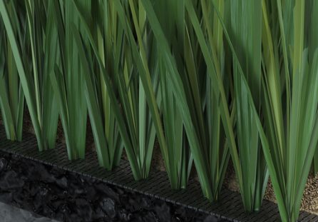 Seri Green Play