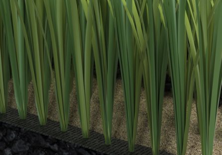 Seri Green Dura