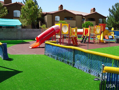 Rumput Bermain untuk Halaman Belakang Rumah